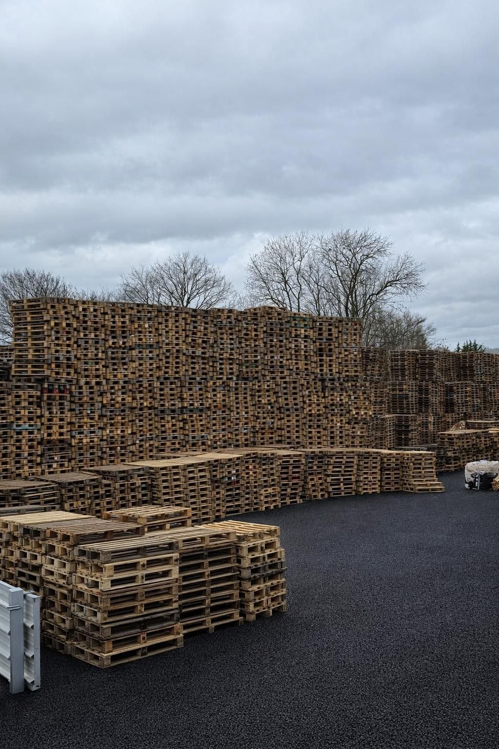 Sortierte Holzpaletten auf dem DirectPAL-Depot